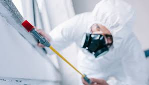 Best Residential Pest Control  in Dodge City, KS